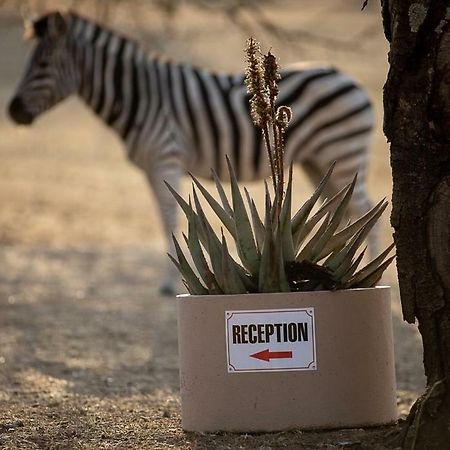 Kiyala Guest Farm Hotell Mbombela Eksteriør bilde
