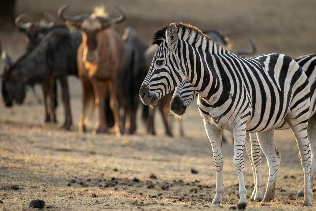 Kiyala Guest Farm Hotell Mbombela Eksteriør bilde