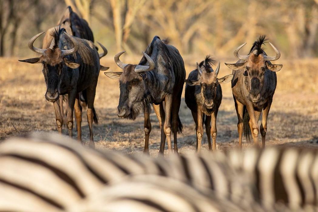 Kiyala Guest Farm Hotell Mbombela Eksteriør bilde